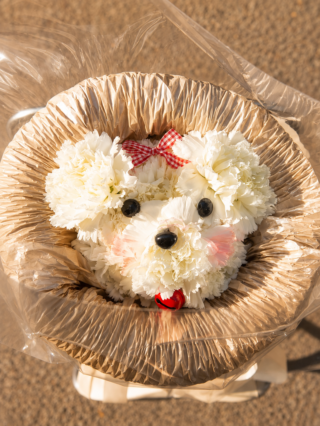 Puppy bouquet with carnation flowers chi tiết 1-3 - hoa sinh nhat cam chuong cun con Flocaa
