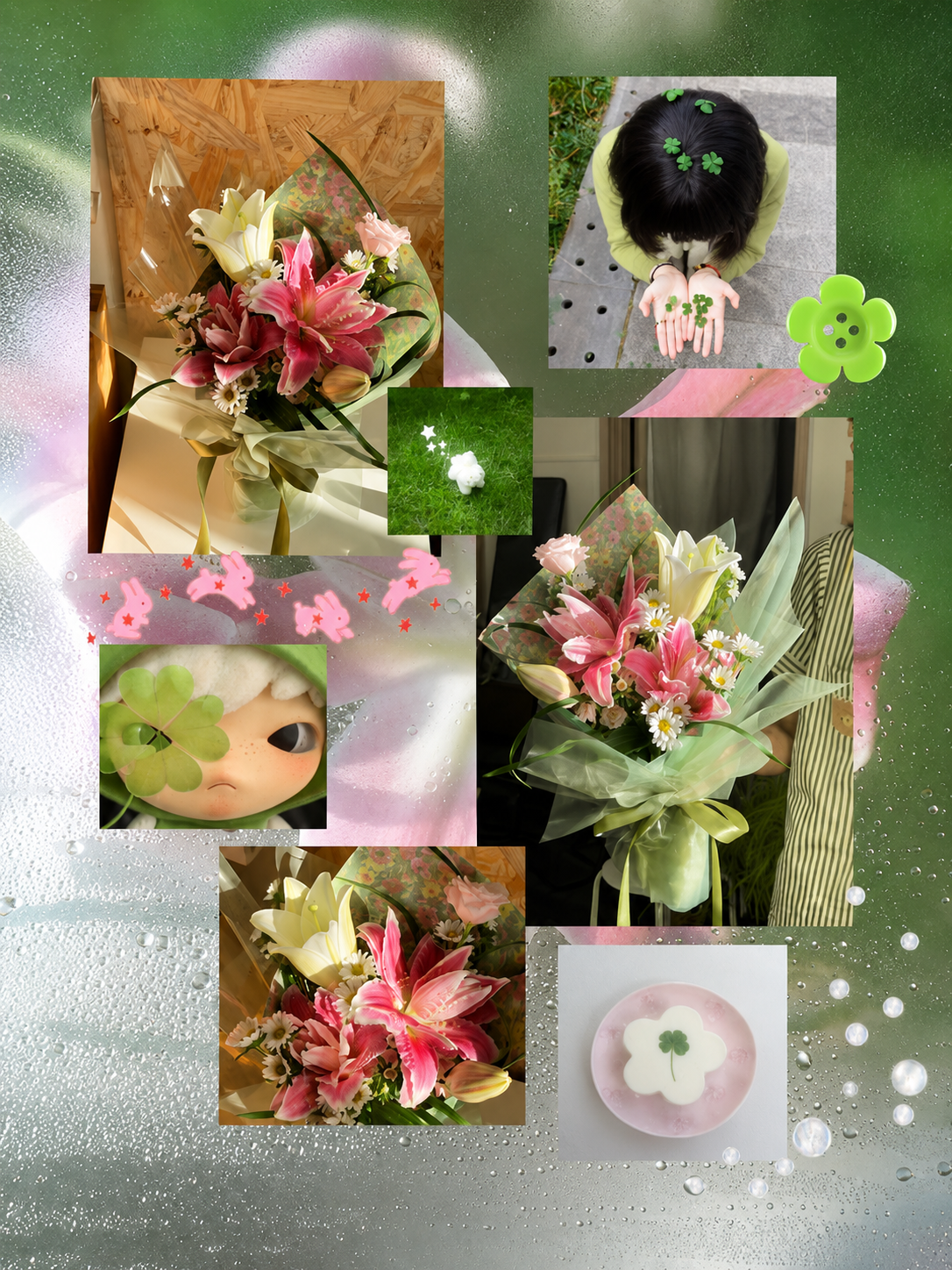 Jelly Pinky Jelly - hoa ly hong trang chuc may man Flocaa